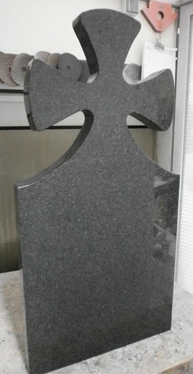 P3080062 cen